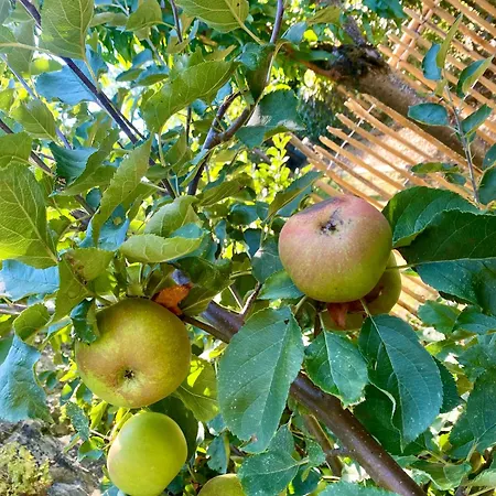 Hotel Vcb Centre-ville Ciney