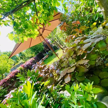 Vcb Centre-ville Ciney